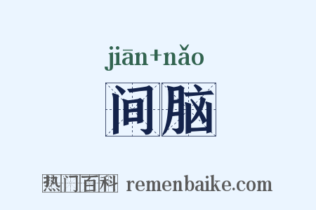 间脑是什么意思的图片